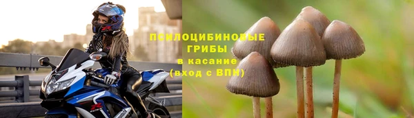 дурь Абдулино
