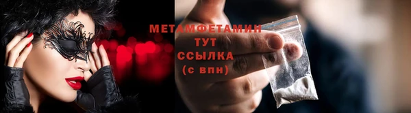 ГАЛЛЮЦИНОГЕННЫЕ ГРИБЫ Михайлов