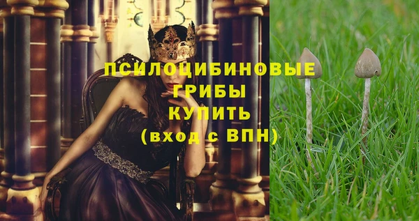 ГАЛЛЮЦИНОГЕННЫЕ ГРИБЫ Михайлов