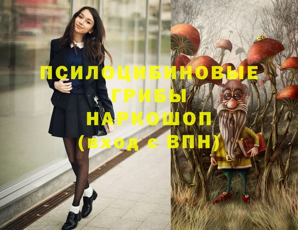 дурь Абдулино
