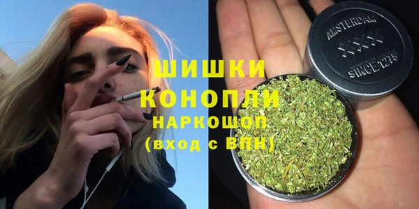 ГАЛЛЮЦИНОГЕННЫЕ ГРИБЫ Михайлов
