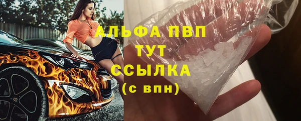 ГАЛЛЮЦИНОГЕННЫЕ ГРИБЫ Михайлов