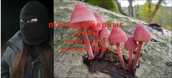 дурь Абдулино