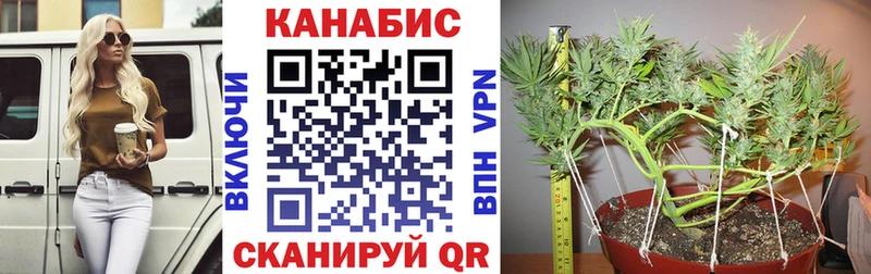 Бошки марихуана конопля  даркнет сайт  Екатеринбург 
